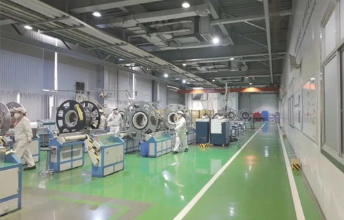 以教育之強譜寫高質量發展新篇 浙江大學勇擔使命，引領軟件研發與銷售創新實踐
